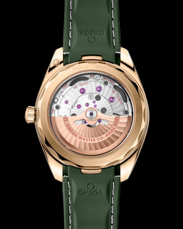 Omega Seamaster Aqua Terra 150M 41mm Front View