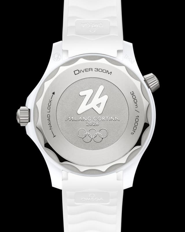 Omega Seamaster Diver 300M 43.5mm Underwater View